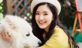 =明星明星公开道歉 赵露思演的电视剧,聚焦其主演的电视剧引发热议